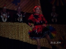 Sitzung2011_43